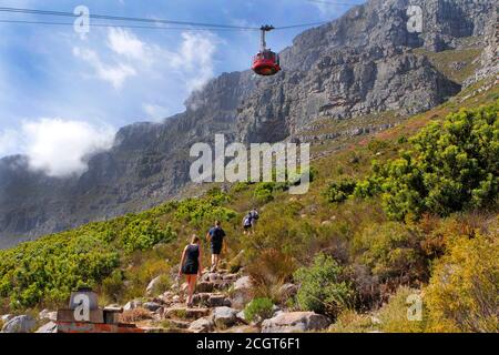 Besucher wandern auf den Konturweg am Tafelberg. Stockfoto