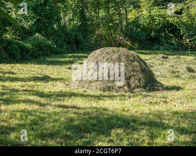Ländliche Szene mit Heuhaufen auf einem Feld in Rumänien. Stockfoto
