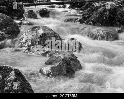 Schwarz-Weiß-Bild eines Gebirgsbaches oder Baches, der zwischen Felsen fließt. Sieben Leitern Canyon in Piatra Mare (Big Rock) Berge. Stockfoto