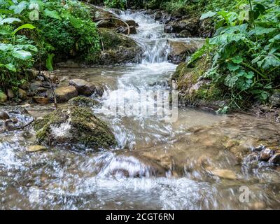 Fließender Strom zwischen Felsen und grünen Blättern im Wald. Sieben Leitern Canyon in Piatra Mare (Big Rock) Berge. Stockfoto