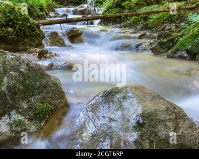 Bild von einem Bergbach oder Bach, der zwischen Felsen in den Karpaten, Rumänien fließt. Sieben Leitern Canyon in Piatra Mare (Big Rock) Berge. Stockfoto