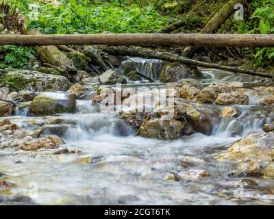 Bild von einem Bergbach oder Bach, der zwischen Felsen in den Karpaten, Rumänien fließt. Sieben Leitern Canyon in Piatra Mare (Big Rock) Berge. Stockfoto