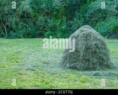 Ländliche Szene mit Heuhaufen auf einem Feld in Rumänien. Stockfoto