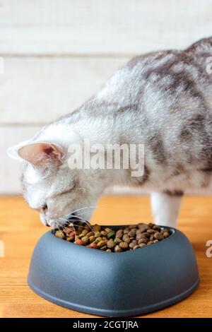 Katze essen Tierfutter in einer Schüssel mit Form des Herzens. Stockfoto