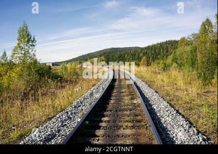 Eisenbahnschienen fahren an einem sonnigen Herbsttag in die Ferne zwischen den Wäldern. Stockfoto