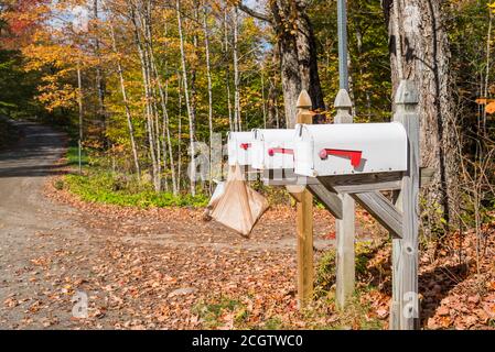 Reihe von Briefkästen entlang einer unbefestigten Waldstraße an einem sonnigen Herbstmorgen. Herbstfarben. Stockfoto