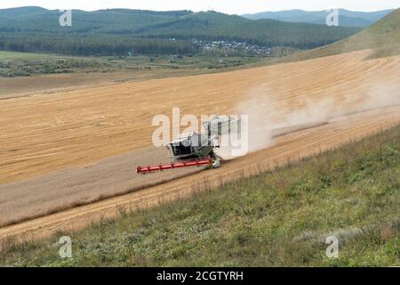 Zwei Mähdrescher sind während der Ernte im Hintergrund des Dorfes auf dem Feld. Stockfoto