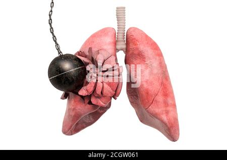 Menschliche Lungen zerstören durch Abrissball. Schmerzen in der Lunge, Lungenerkrankung Konzept. 3D-Rendering auf weißem Hintergrund isoliert Stockfoto