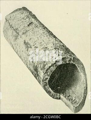 . Die Straßenbahnen überprüfen . ng das Rohrsystem auf Gleichungspotential im gesamten, und für Isolierabschnitte oder Isolierverbindungen, von denen einige patentiert wurden. Die Idee dieser Abschnitte oder Verbindungen, die von ihren Befürwortern vorangetrieben werden, ist es, die metallische Kontinuität der Rohrleitung zu brechen und ihre Leitfähigkeit zu reduzieren, und damit zu verhindern, dass sie als Pfad dienen, den der Rückstrom natürlich wählen würde. Der Effekt, ein Rohrsystem so in eine kleine Anzahl von Abschnitten zu teilen, wäre kaum lohnenswert, da der Boden selbst ein guter Leiter ist und der Strom nur einen Abschnitt hinterlassen würde Stockfoto