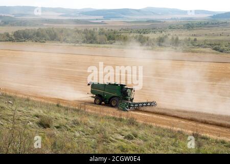 Komplette Harvester grünen Fahrten auf dem Feld während der Ernte im Herbst. Stockfoto