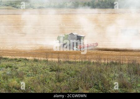 Komplette Harvester kommt in den Wolken von Staub Fahrten auf dem Feld während der Ernte. Stockfoto