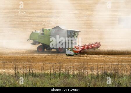 Komplette Harvester kommt in den Wolken von Staub Fahrten auf dem Feld während der Ernte im Herbst. Stockfoto