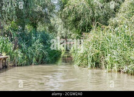 Donau Biosphärenreservat Belgorodske Fluss Sommerlandschaft in Vilkove, Ukraine. In der Nähe des Schwarzen Meeres und des Donaudeltas. Stockfoto