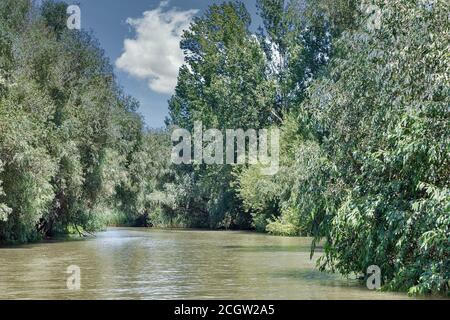 Donau Biosphärenreservat Belgorodske Fluss Sommerlandschaft in Vilkove, Ukraine. In der Nähe des Schwarzen Meeres und des Donaudeltas. Stockfoto