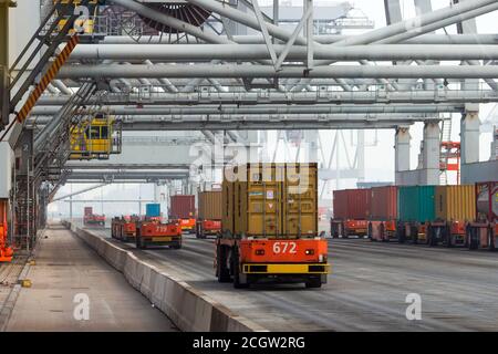 Automatisierte Fahrzeuge, die Transportbehälter zu und von Portalkranen im Hafen von Rotterdam, Niederlande, 6. September 2013 bewegen. Stockfoto