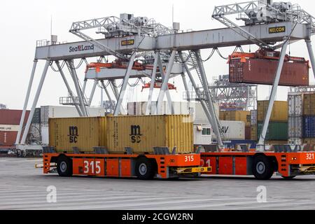 Automatisierte Fahrzeuge, die Transportbehälter zu und von Portalkranen im Hafen von Rotterdam, Niederlande, 6. September 2013 bewegen. Stockfoto