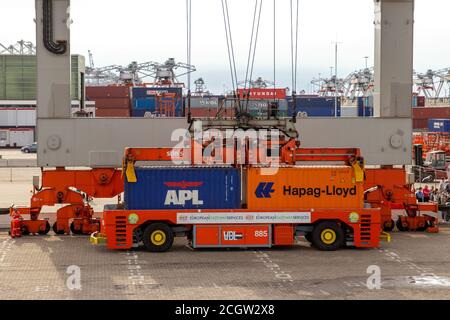 Portalkran-Betreiber, der Transportbehälter auf einem automatisierten Transportfahrzeug im Hafen von Rotterdam, Niederlande, 8. September 2013 platziert. Stockfoto