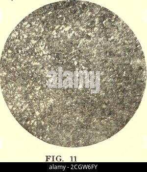 . Die Straßenbahnzeitung . die Enance der Gleise, die dem schweren Verkehr unterworfen ist. Die hier ausgestellten Schienen waren 79-lb. Schwer. Wir haben oben auf die Notwendigkeit hingewiesen, Porosität und Unsolide von Stahl zu vermeiden, wenn ein guter Dienst erreicht werden soll.Kurioserweise ist eine häufige Eigenschaft von Nickelstahl mit dieser Bedingung verbunden. Es ist eine Frage der allgemeinen Beobachtung, dass Nickel-Stahl-Schienen haben nicht den Dienst STREET RAILWAY JOURNAL gegeben. Ioi4 STREET RAILWAY JOURNAL. [Vol. XXVIII. Nr. 21. Was vorweggenommen und erhofft wurde, aber dass es eine Tendenz zu Splittern und ein Leben zu haben Stockfoto
