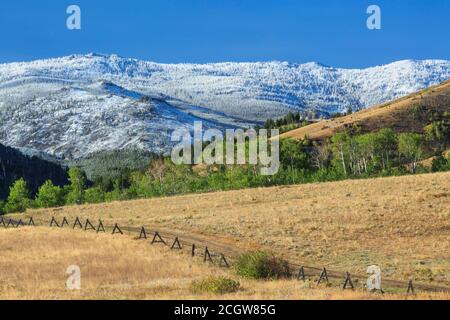 elkhorn Berge mit einem Spätsommerschnee in der Nähe von winston, montana staubt Stockfoto