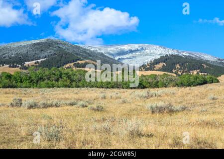 elkhorn Berge mit einem Spätsommerschnee in der Nähe von winston, montana staubt Stockfoto