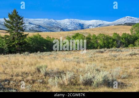 elkhorn Berge mit einem Spätsommerschnee in der Nähe von winston, montana staubt Stockfoto