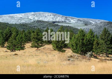 elkhorn Berge mit einem Spätsommerschnee in der Nähe von winston, montana staubt Stockfoto