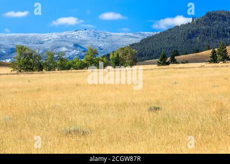 elkhorn Berge mit einem Spätsommerschnee in der Nähe von winston, montana staubt Stockfoto