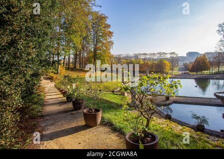 Idyllischer Blick auf Topfpflanzen im Domaine National de Saint-Cloud - Herbstlaub von Bäumen. Hintergrund - Teich mit Statuen und Park Stockfoto