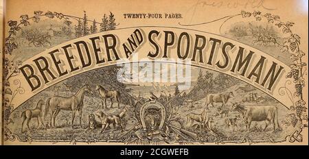 . Züchter und Sportler . SAN FRANCISCO, SAMSTAG, 15,1894. DEZEMBER. Vol. XXV. Nr. 24.Wo. 313 BUCHSE STBEET. EINE KALIFORNISCHE HELDIN. Ich hatte immer den größten Respekt vor der alten Hennie Farrow.Nachkommen einer Lodg-Linie von blaublütigen Abstammung, ihre Repu-tation als Gestüt-Matron machte sie zu einer der berühmtesten Brutstuten ihrer Zeit. Denn wer kann je die Nachkommen ihrer Nachkommen vergessen, vom Spiel Privateer, einer ihrer alten Söhne, bis hin zur Flotte Mollie McCarthy, einer ihrer jungen Töchter? Geschwindigkeit und Stoutness schien eine glückliche Kombination in der erhalten von dieser notierten Tochter von imp zu finden. Scham-Rock. Und von Stockfoto