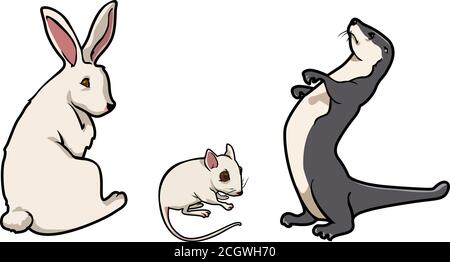 Cartoon Vektor-Illustration eines Kaninchens Maus und Frettchen Stock Vektor