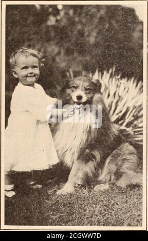 . Baltimore und Ohio Angestellte Zeitschrift. Siehet überall; erst der andere Tag die New York Papierberichtete, dass ein Gen.-tleman jetzt almostsechzig Jahre alt, whohad nie aboat gesegelt oder irgendeine Sache über ein bekannt untilhe war über fünfzig, hatte seinen Sloopto Sieg in einem der wichtigsten jährlichen Regatten heldon Long IslandSound gerannt. Wir haben zwei sehr gute Freunde. Einer von ihnen wurde gezwungen, seinen College-Kurs ein paar Monate zu beenden, nachdem er es begonnen hatte, und wurde auf seine eigenen Re-Quellen geworfen. Er machte ein Vermögen, bevor hewas vierzig Jahre alt, gab dann Upactive Teilnahme an der Wirtschaft, finisheda f Stockfoto