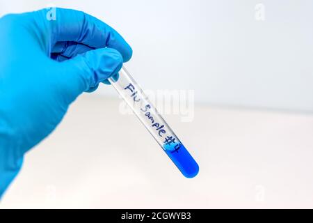 Eine Hand trägt einen blauen Handschuh und hält ein Teströhrchen mit der im Marker beschriebenen Grippeprobe #4. Das Reagenzglas enthält eine kleine Menge blauer Flüssigkeit. Stockfoto
