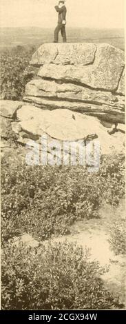 . Buch der Royal Blue . VON St. Louis, Louisville, Cincinnati, Columbus, Chicago, Wheeling, Pittsburg, Washington, Baltimore, Philadelphiaund New York. Stockfoto