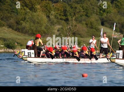 Wien, Österreich. September 2020. Team Schweizer Drachen treten beim Wiener Donau Drachenboot Cup 2020 in Wien, Österreich, am 12. September 2020 an. Kredit: Guo Chen/Xinhua/Alamy Live Nachrichten Stockfoto