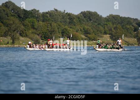 Wien, Österreich. September 2020. Teams treten beim Wiener Donau-Drachenboot-Cup 2020 in Wien, Österreich, am 12. September 2020 an. Kredit: Guo Chen/Xinhua/Alamy Live Nachrichten Stockfoto