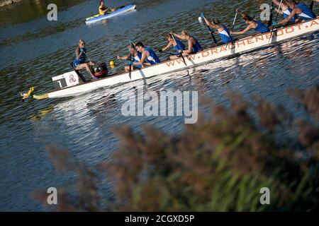 Wien, Österreich. September 2020. Team Allianz tritt beim Wiener Donau-Drachenboot-Cup 2020 in Wien, Österreich, am 12. September 2020 an. Kredit: Guo Chen/Xinhua/Alamy Live Nachrichten Stockfoto