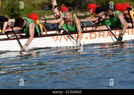 Wien, Österreich. September 2020. Connys Dinomites Paddler treten beim Wiener Donau-Drachenboot-Cup 2020 in Wien, Österreich, am 12. September 2020 an. Kredit: Guo Chen/Xinhua/Alamy Live Nachrichten Stockfoto