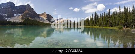 Weitläufige Panoramablick-Landschaft Mit Baumwänden Und Der Skyline Des Bow Lake Water Rocky Mountain Peaks. Sommerwandern Im Banff National Park, Alberta, Kanada Stockfoto