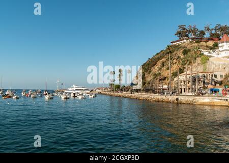 Avalon Hafen in Santa Catalina Island mit Segelbooten, Fischerbooten und Yachten in ruhiger Bucht, berühmte Touristenattraktion in Südkalifornien, USA. Juni 2020 Stockfoto