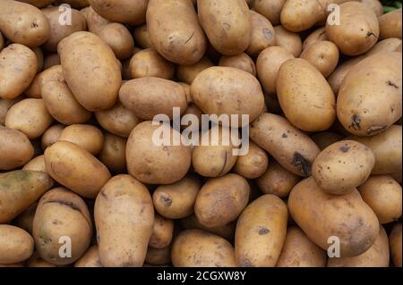 10.05.2019, Singapur, Republik Singapur, Asien - auf einem Straßenmarkt in Little India werden frische Kartoffeln verkauft. Stockfoto