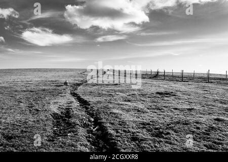 Ein Feld mit einem sehr langen Riss auf den Horizont, unter einer tiefen Himmel mit weißen Wolken Stockfoto