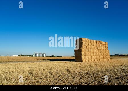 Etreillers Frankreich - 31 Juli 2020 - Land bei Etreillers Aisne Frankreich Stockfoto