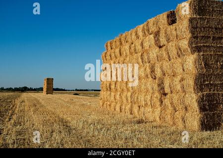 Etreillers Frankreich - 31 Juli 2020 - Land bei Etreillers Aisne Frankreich Stockfoto