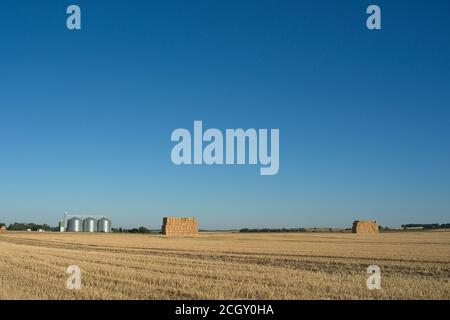 Etreillers Frankreich - 31 Juli 2020 - Land bei Etreillers Aisne Frankreich Stockfoto