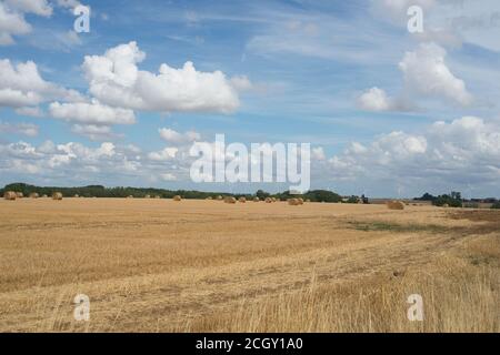 Savy Frankreich - 26. Juli 2020 - Land im Departement Aisne in Hauts-de-France Stockfoto