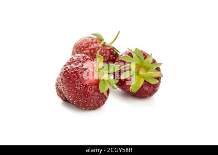 Erdbeeren isoliert auf weißem Hintergrund. Rote reife Beeren, drei saftige Erdbeeren Stockfoto