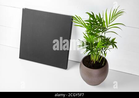 Eine schwarze Baumwollleinwand und grüne Pflanze in Blumentopf auf weißem Holzhintergrund. Gestreckte saubere Leinwand auf dem Tisch. Modell, Vorderansicht Stockfoto