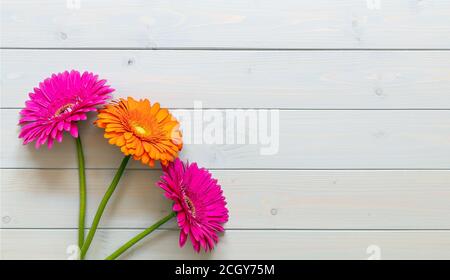 Bunte Gerbera Blumen auf dem hölzernen Hintergrund Stockfoto