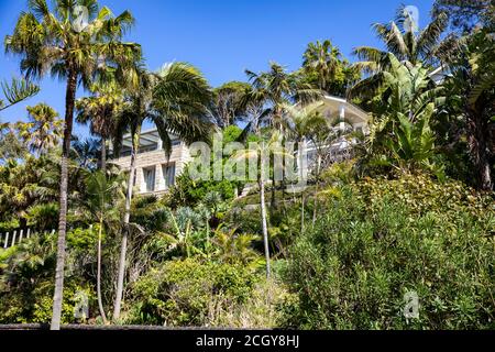 Whale Beach Vorort von Sydney, Luxus freistehendes Haus und tropische grüne Gärten, Sydney, Australien Stockfoto