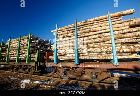 Frachtzug voller europäischer Birkenholzstämme, Stahlpfähle, die die Stämme an Ort und Stelle auf offenen Flatcar-Waggons halten, Finnland Stockfoto